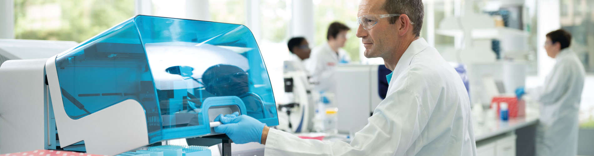 Investigate the mechanisms of cancer